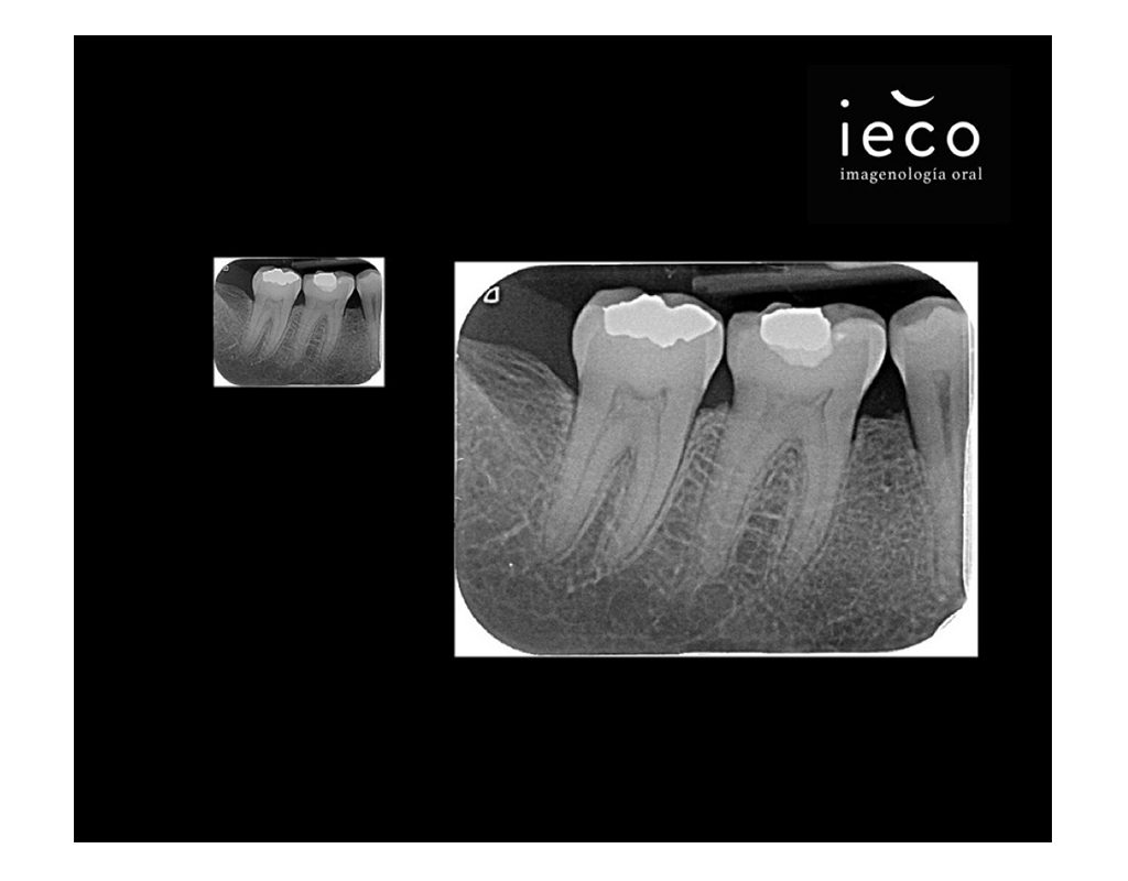 ieco3-1024x800